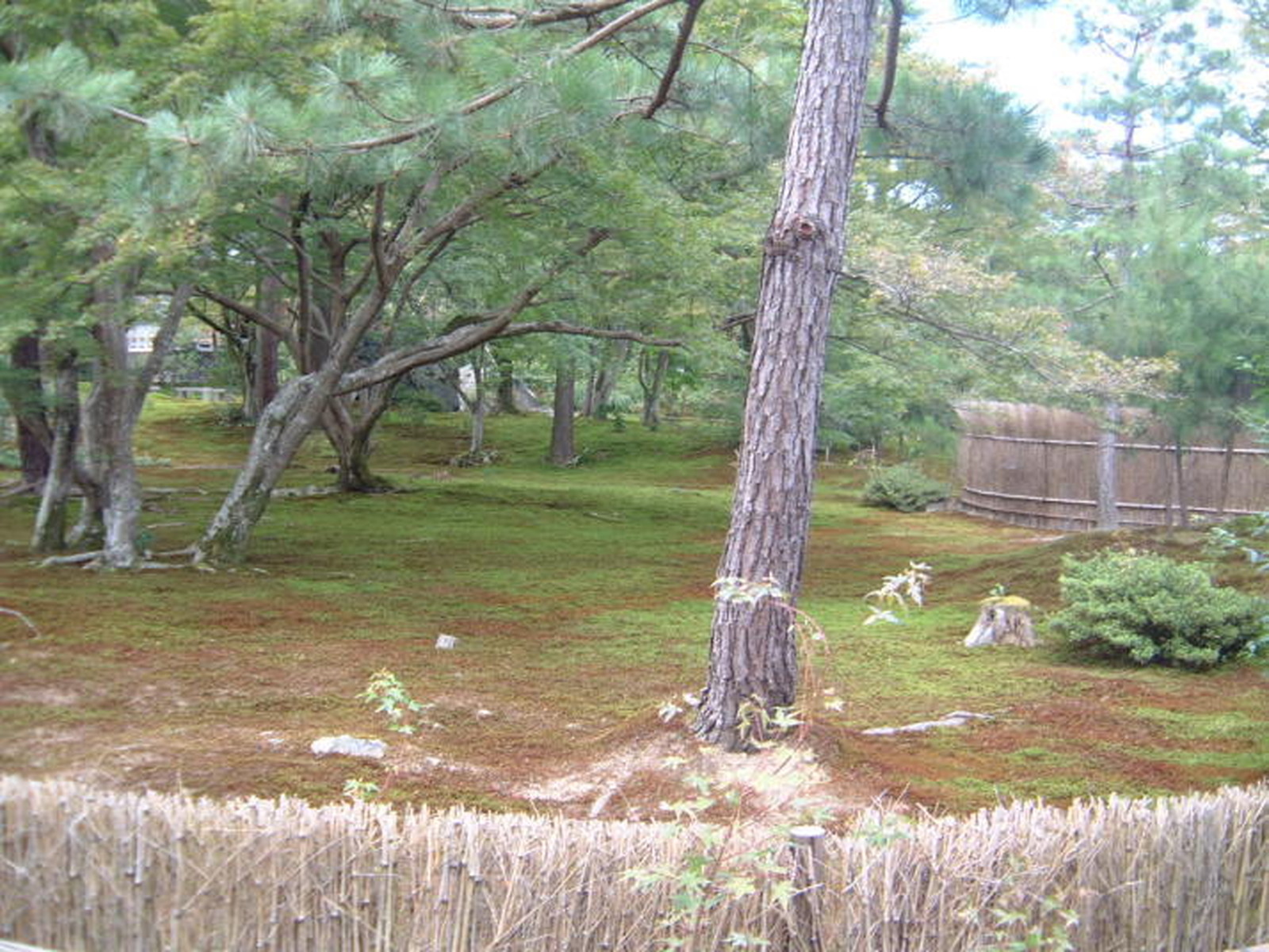 Kyoto Ginkakuji Garden